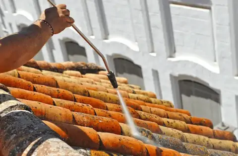 Nettoyage de toitures - Saint-Genis-sur-Menthon